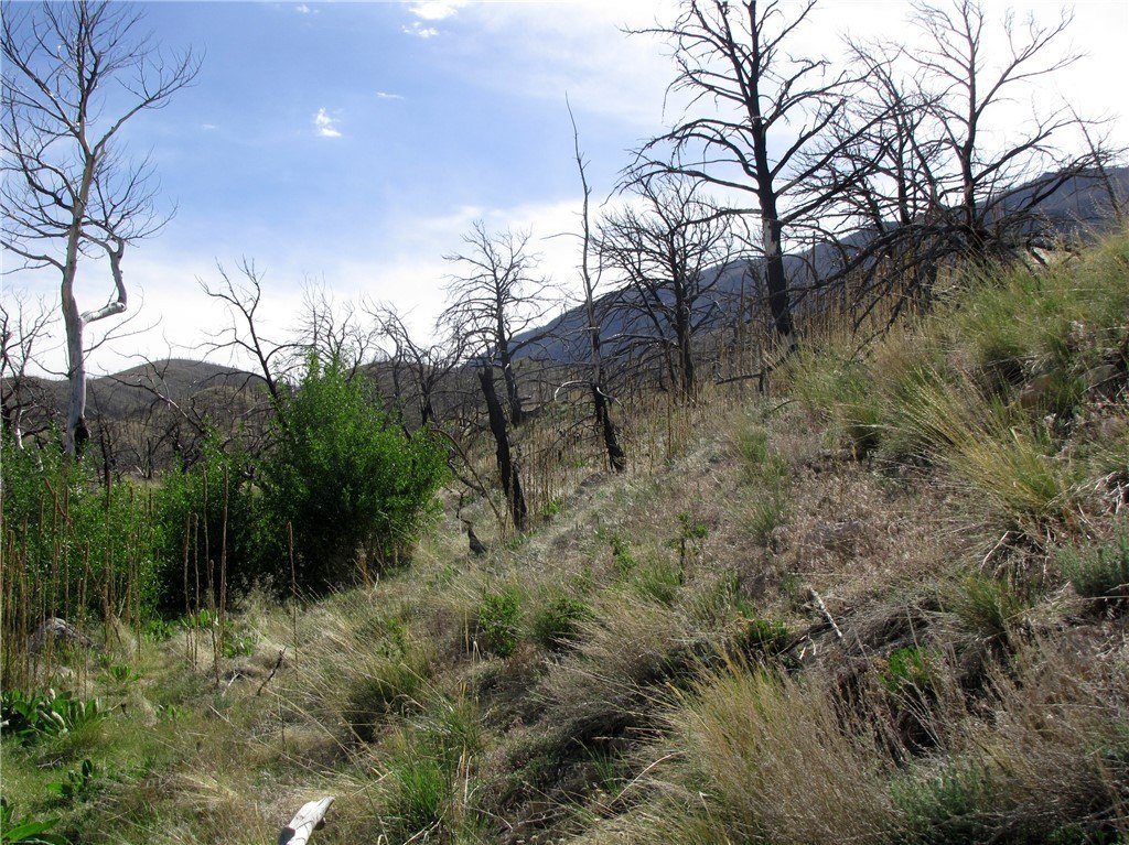 Picture 27