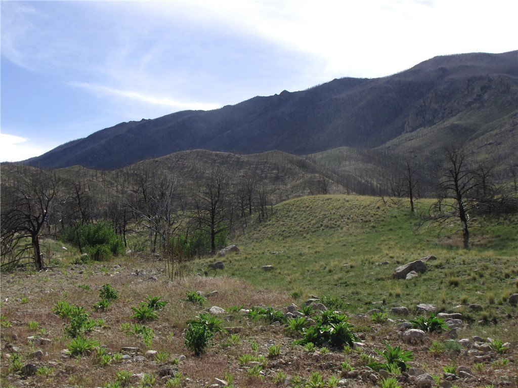 Picture 28