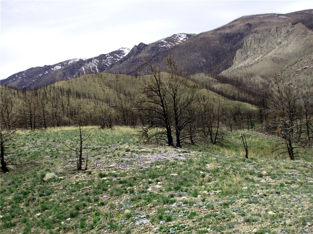 Picture 8