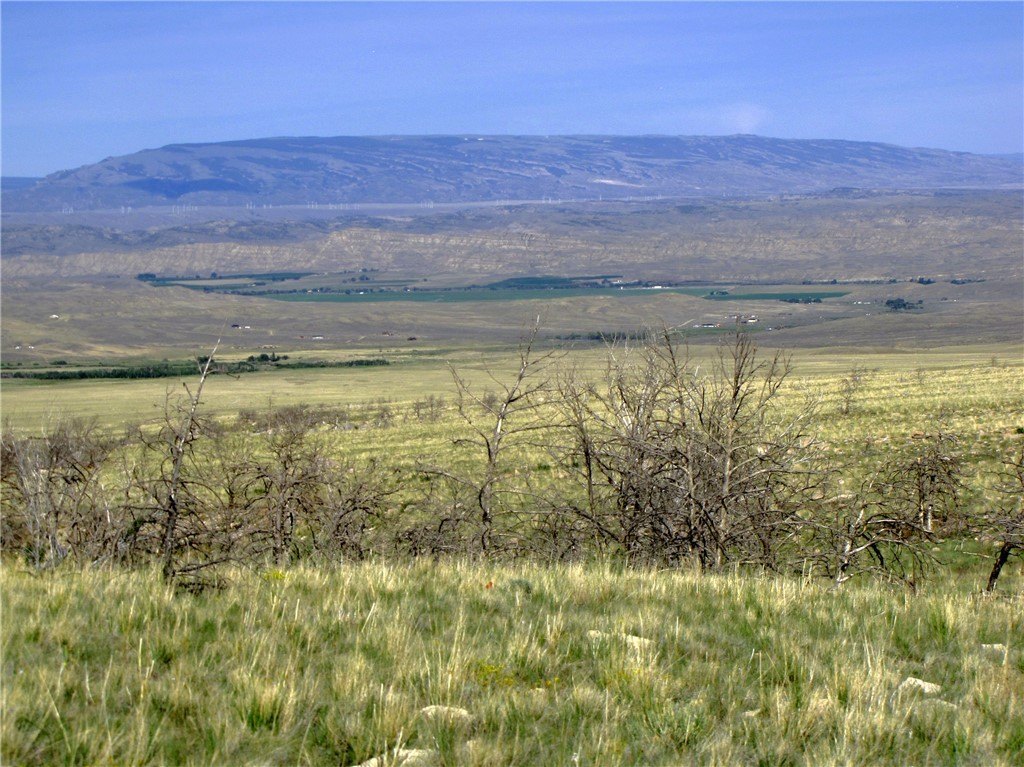 Picture 25