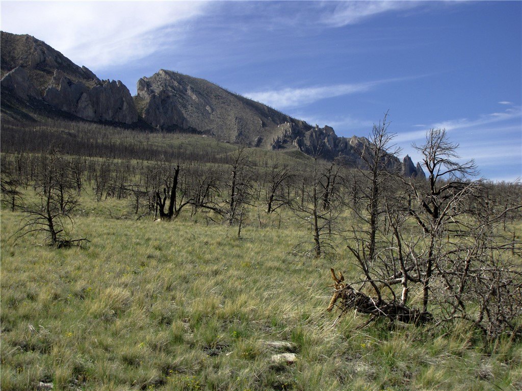 Picture 16