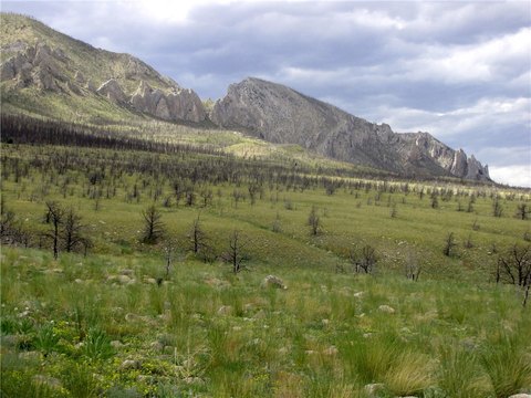 LAND - Belfry, MT