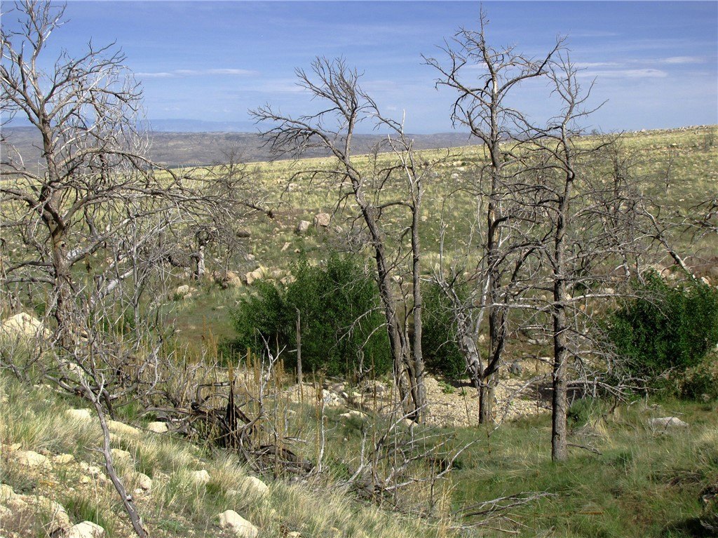 Picture 12