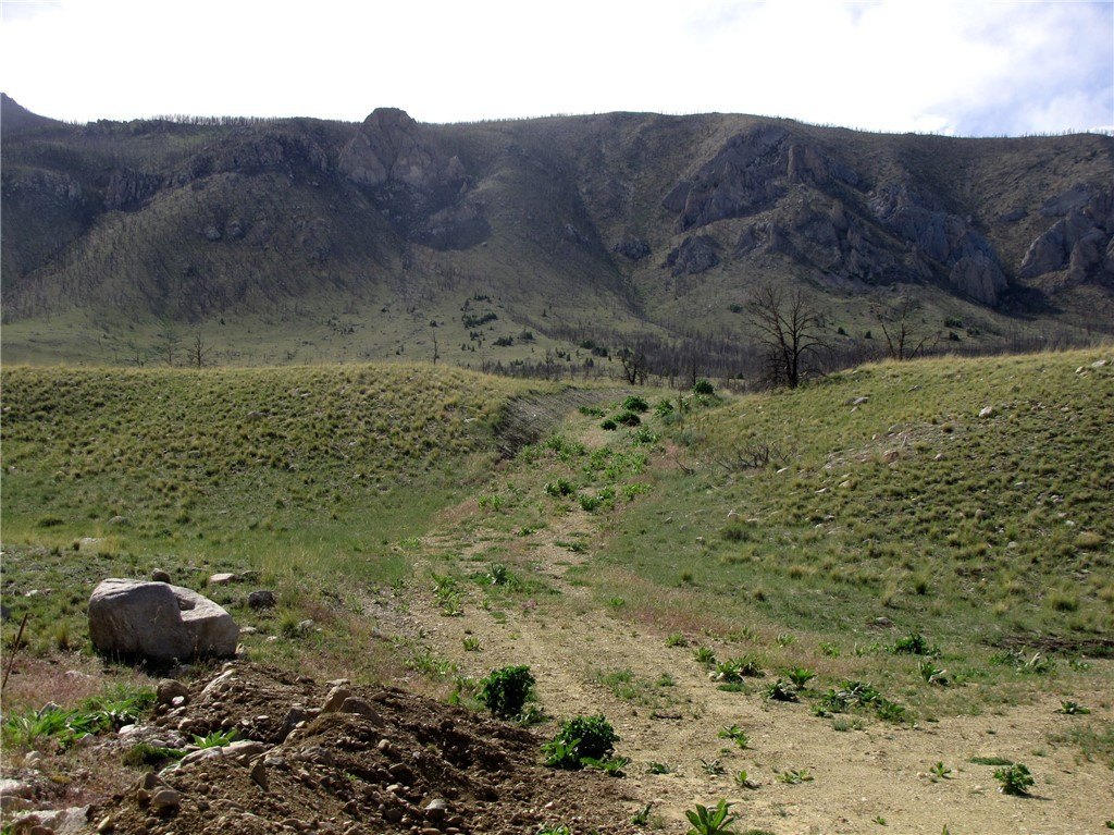 Picture 24