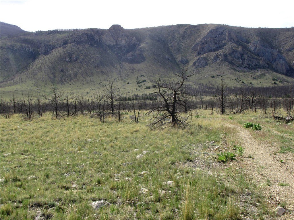 Picture 29