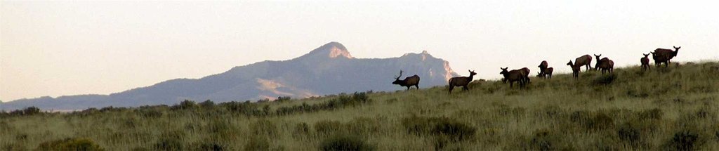 Picture 40