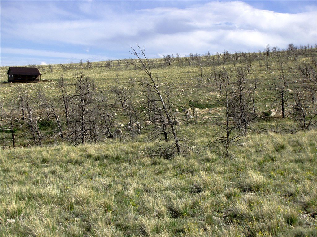 Picture 26