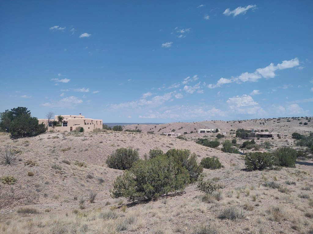 Picture 19