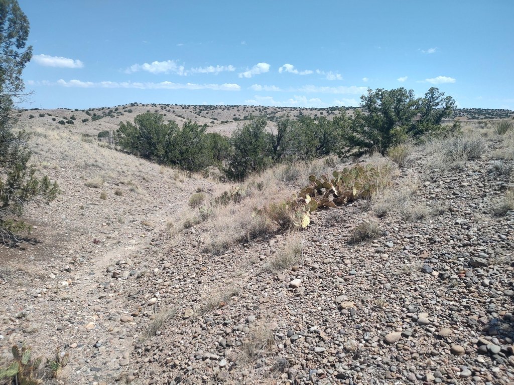 Picture 37