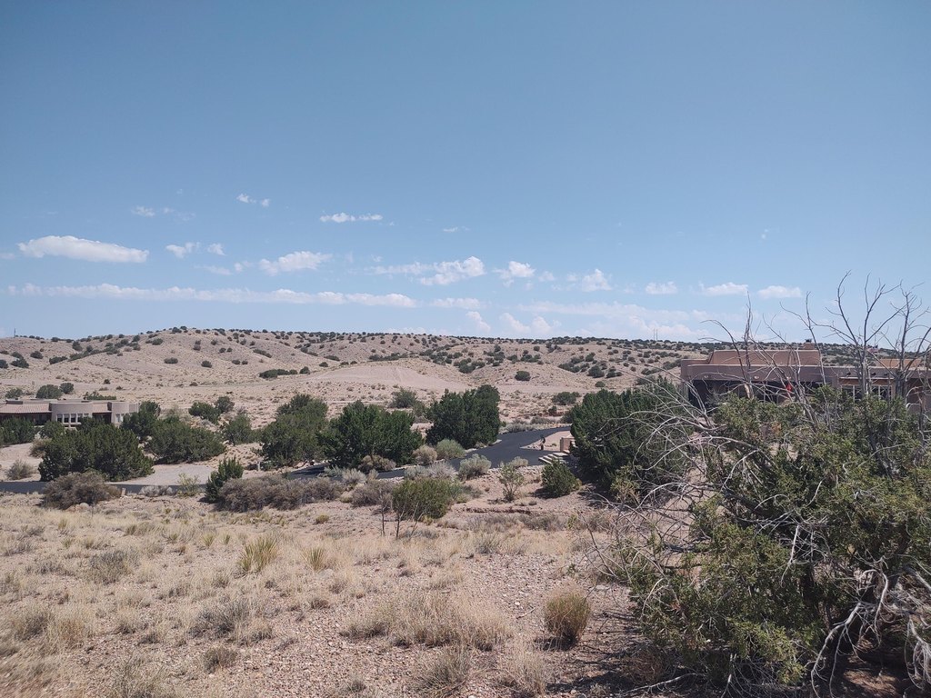 Picture 30