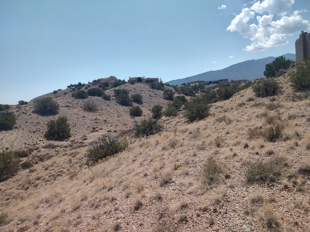 Picture 21