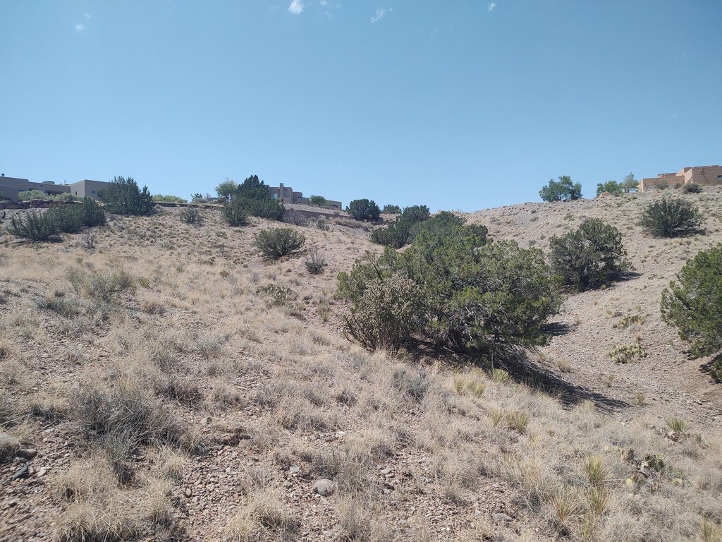 Picture 27
