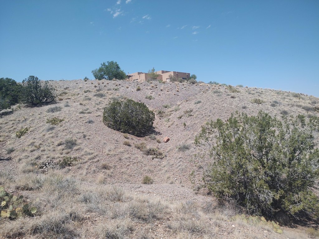 Picture 36