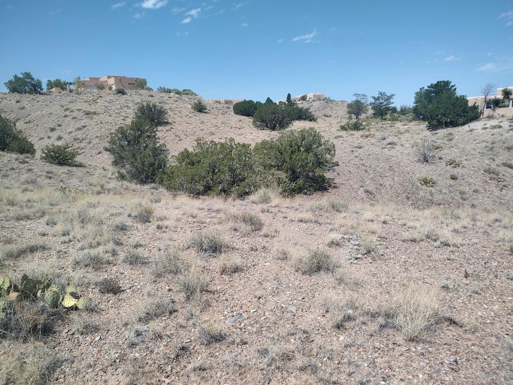 Picture 20
