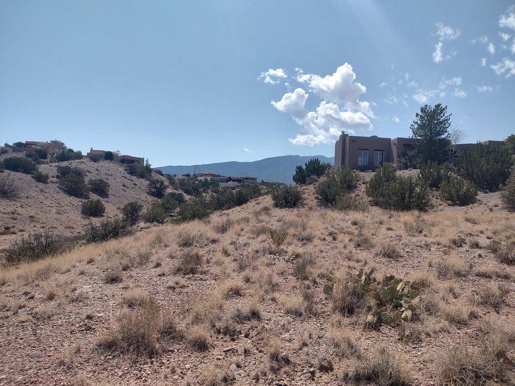 Picture 18