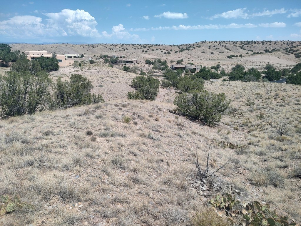 Picture 33