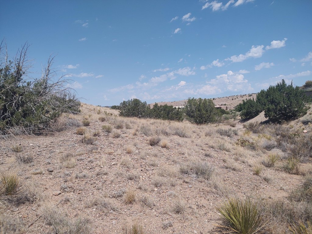 Picture 22
