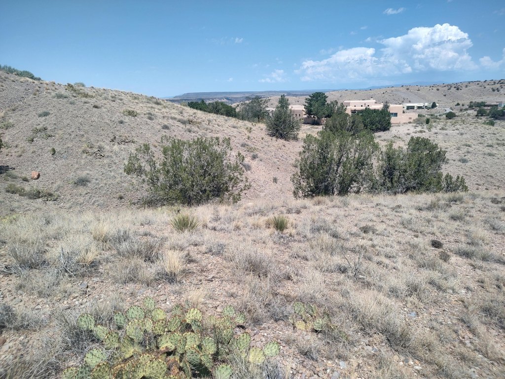 Picture 34