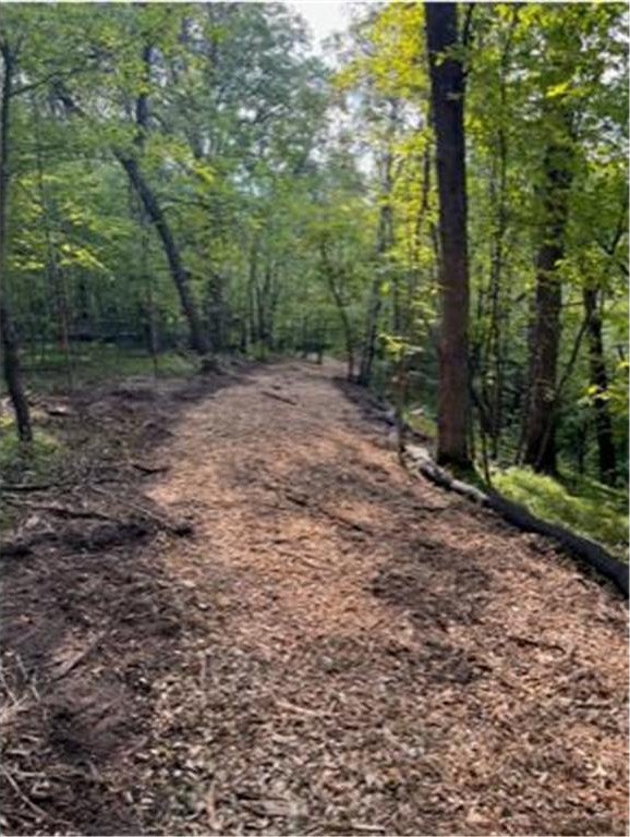 Picture 12