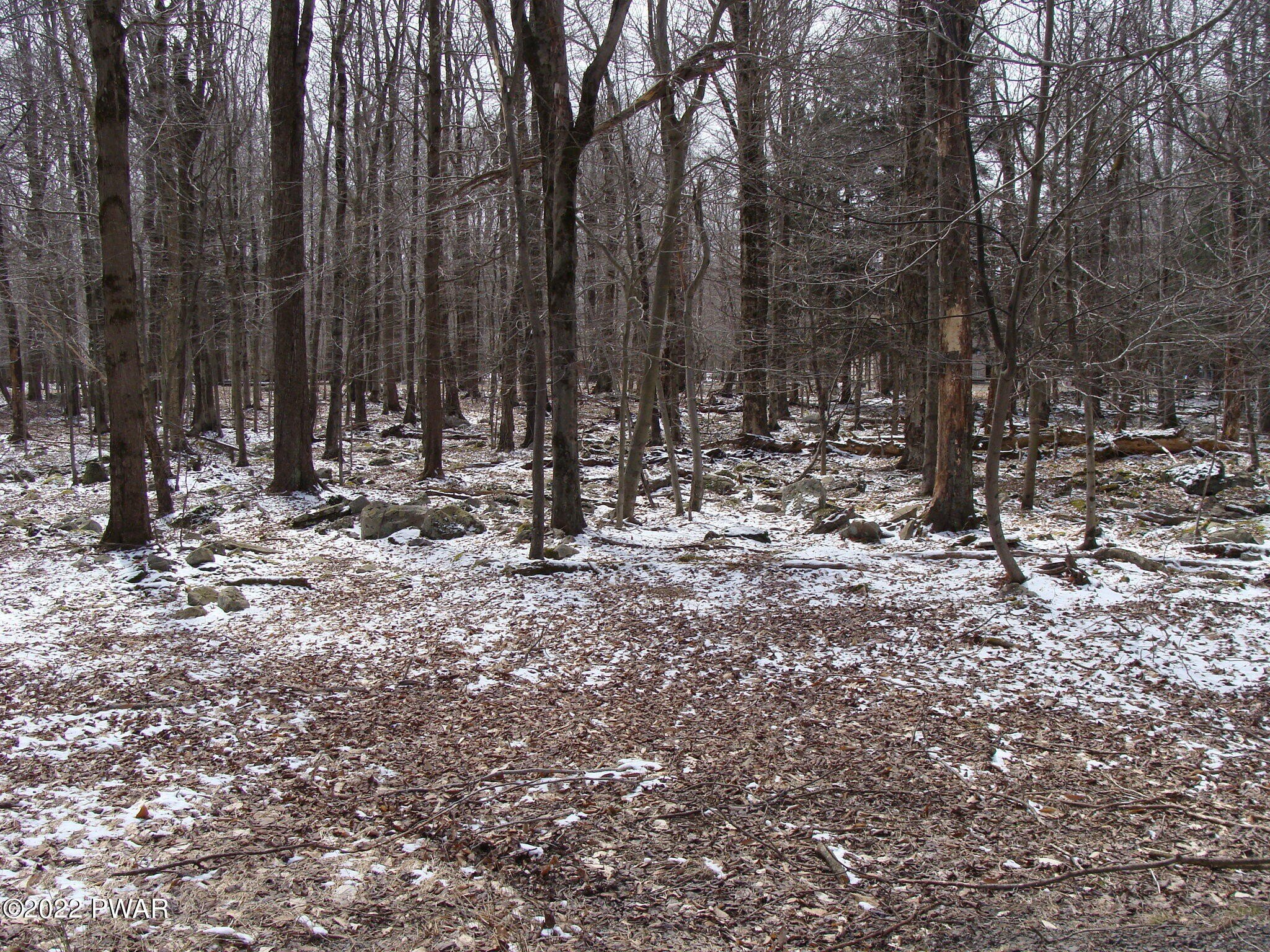 Wooded Lot in Gated Community