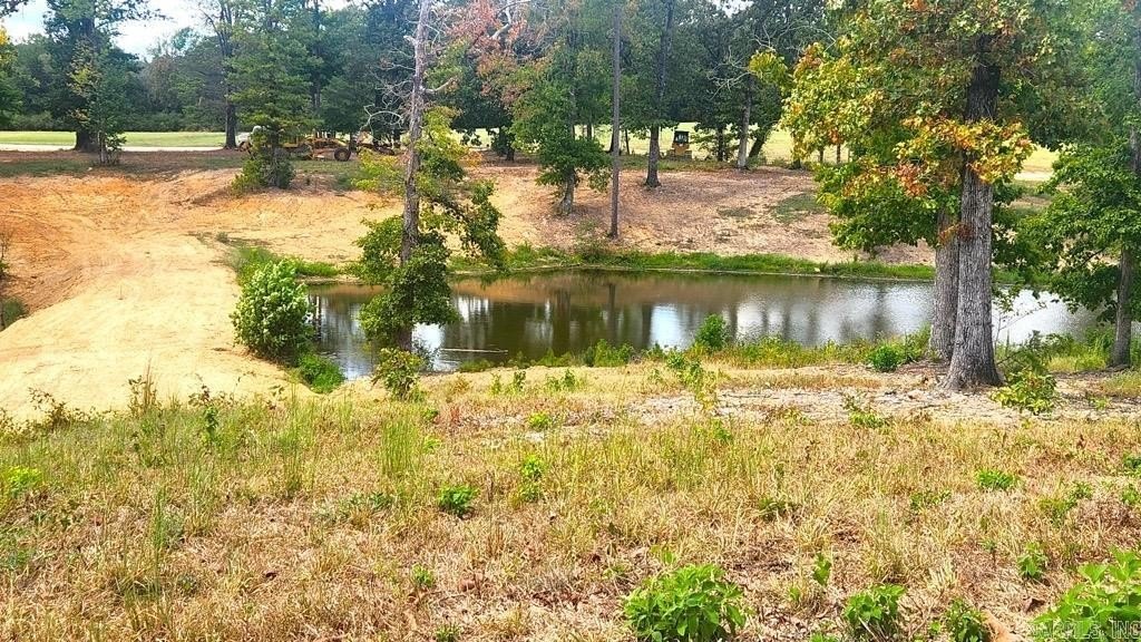 Picture 10