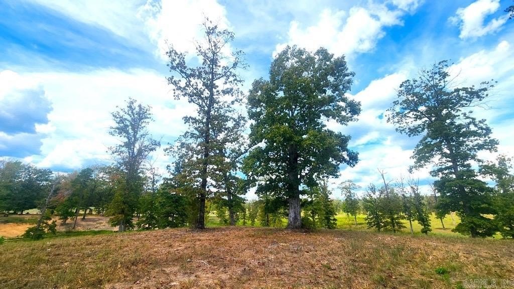 Picture 8