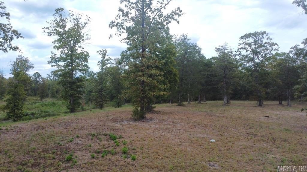 Picture 23