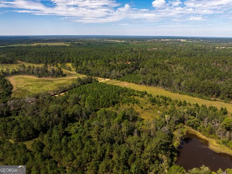 Pasture Land in Cobbtown, Georgia