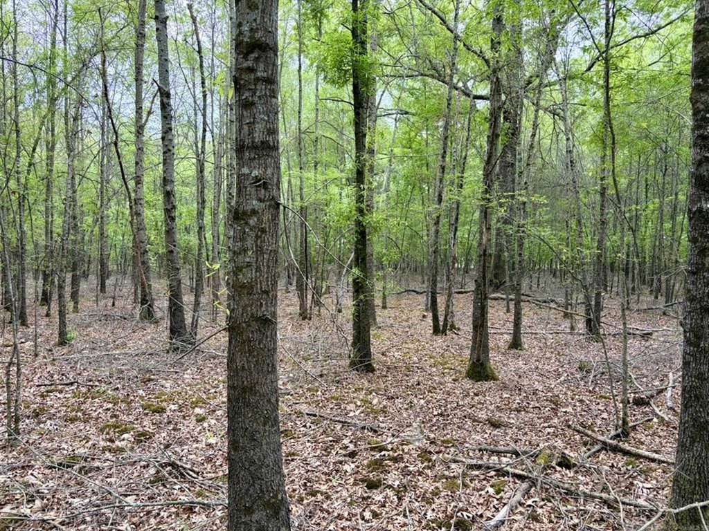 Picture 20