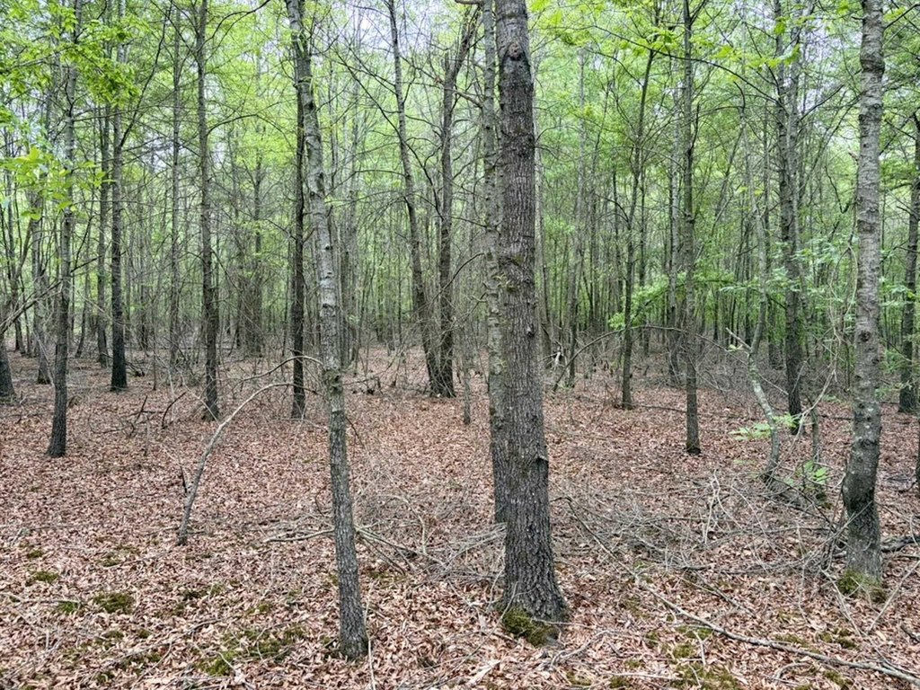 Picture 30