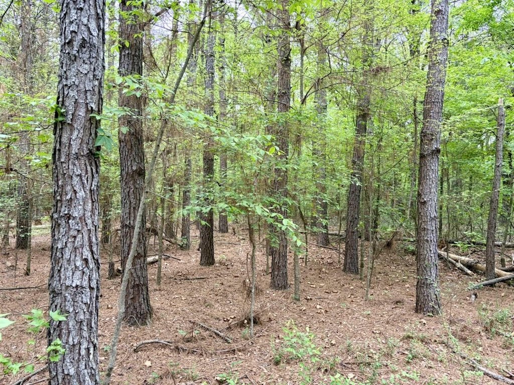Picture 36