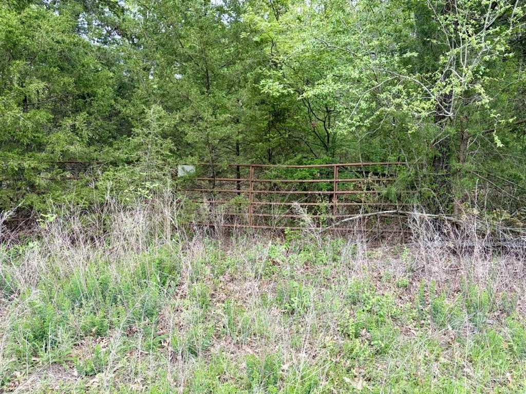 Picture 37