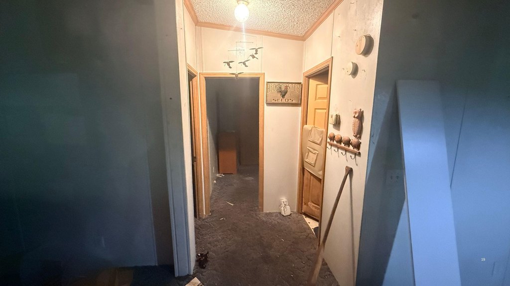 Picture 19