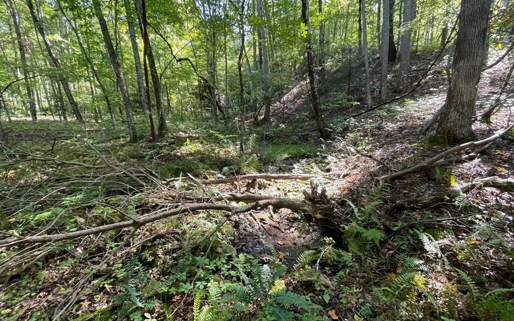 Picture 27