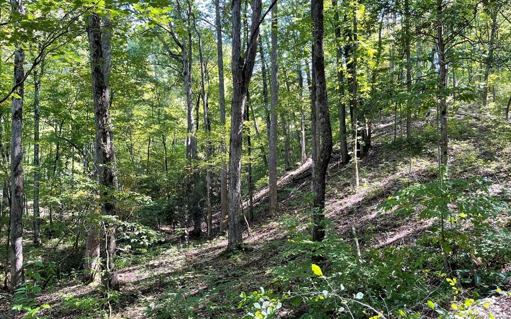 Picture 18