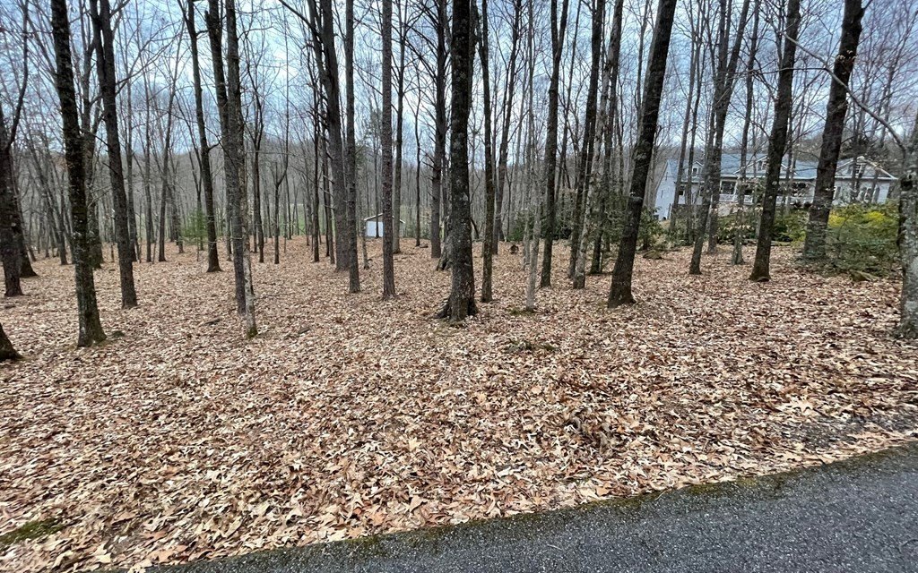 Picture 8