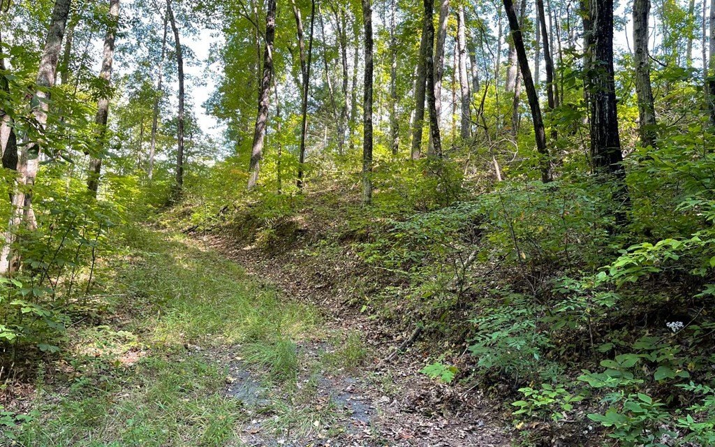 Picture 30
