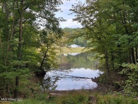Lakefront Lot in Yazoo City