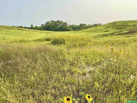 Acreage Lot in Gretna, Nebraska