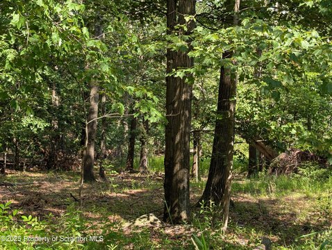 Land for West Mountain Dream