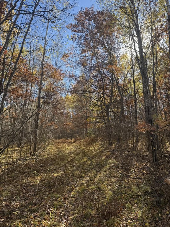 Picture 11
