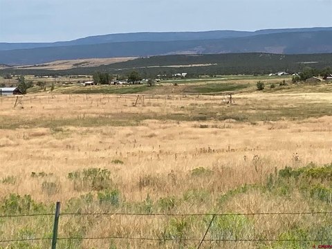 Irrigated Agricultural Land