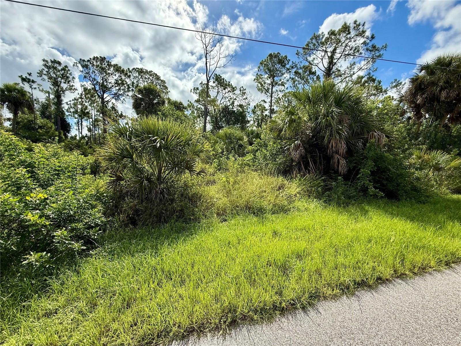 Residential Land in Growing Area