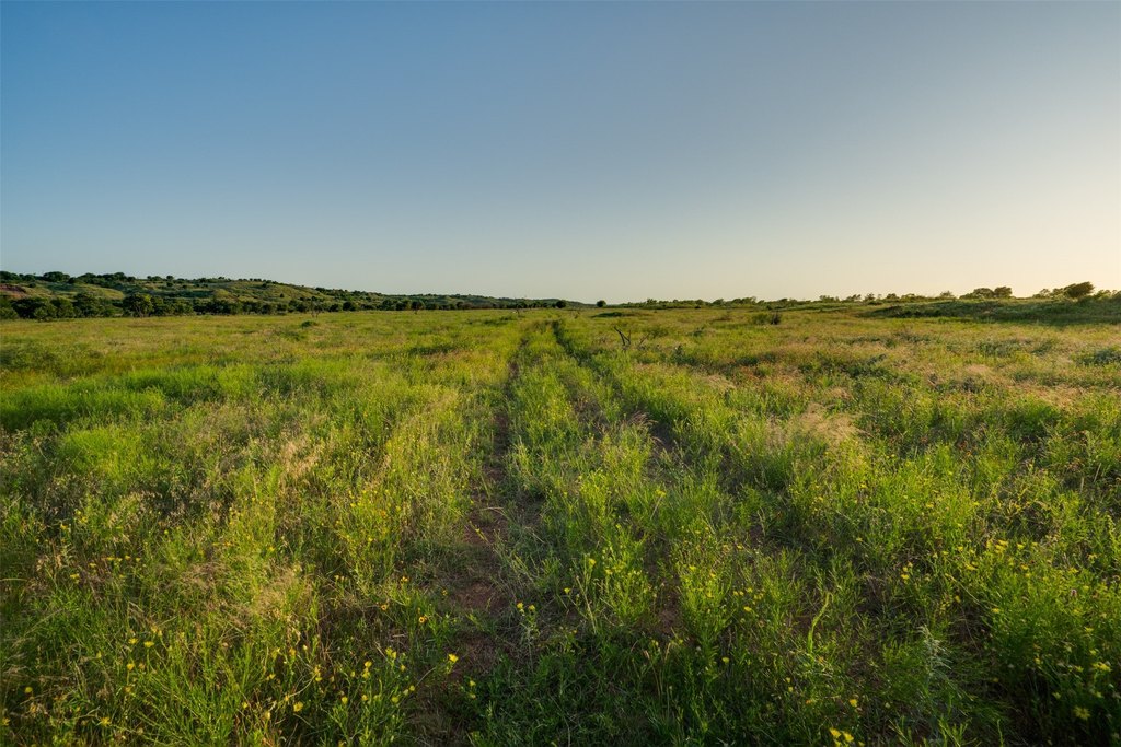 Picture 38