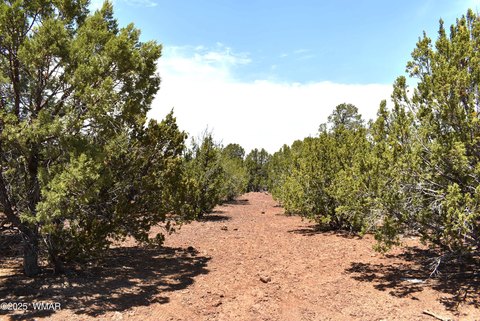 Vernon, AZ Land Opportunity