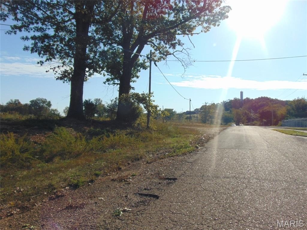 Picture 8