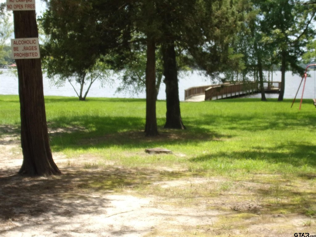 Picture 14