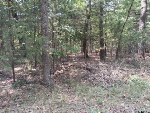Land, Murchison, TX