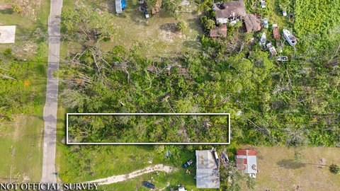 Land, Steinhatchee, FL