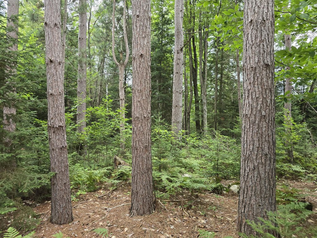Picture 7